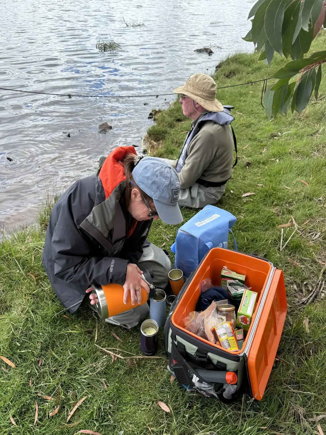 Brown Trout Guide