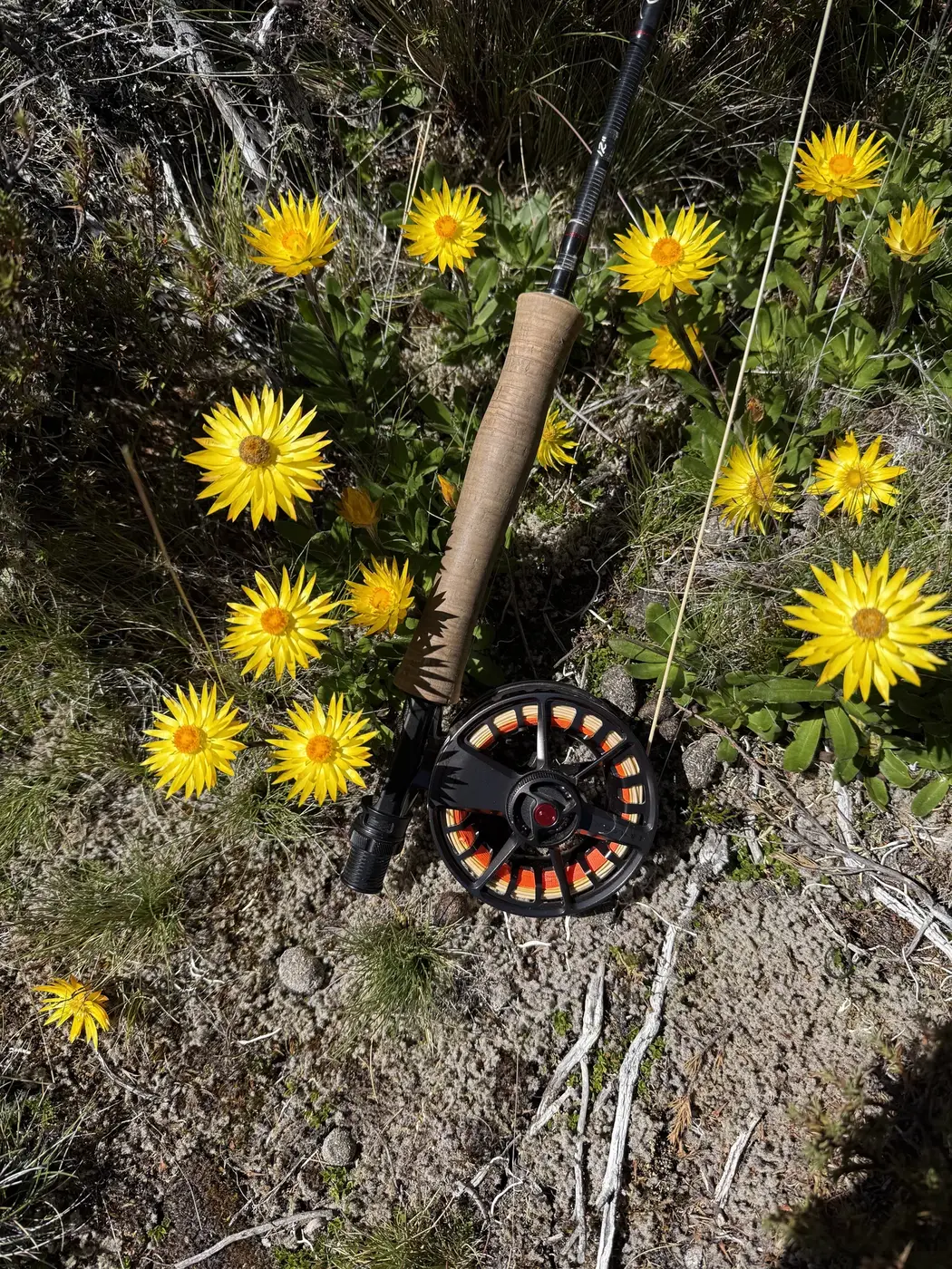 Thredbo River Fly Fishing Guide